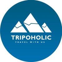 TRIPOHOLIC logo - Similar company to Uplft
