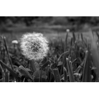 SustainableSG (Singapore) logo - Similar company to Wintel Services