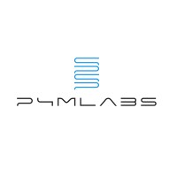 P4M Labs logo - Similar company to Codepixelfy Doo