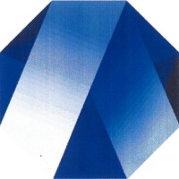 Apaitek Technology南京亚派科技股份有限公司 logo - Similar company to Batterotech