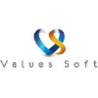 Values Soft logo - Similar company to Dfive Technologies Pvt Ltd