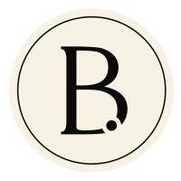 BLUSHTONE logo - Similar company to Consult-Tech