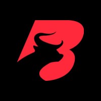 BullRush logo - Similar company to Fpfx Technologies