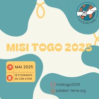 MISI  Togo 2025 logo - Similar company to Agi Association Génie Industriel