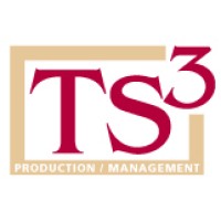 TS3 logo - Similar company to Teckoff