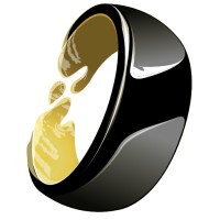 Honor.Software
