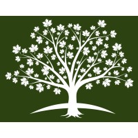 Growth Alchemy Group, Inc. logo - Similar company to Virilion