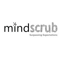 Mindscrub Technologies logo - Similar company to Programmr.Com