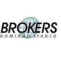 Brokers Domingo Spanto logo - Similar company to Arg Realty Group - Argentina