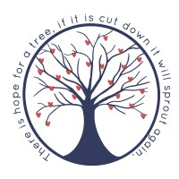 Beauty 4 Ashes Central Coast logo - Similar company to Vortex E-Commerce