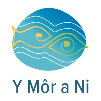 Y Môr a Ni: Welsh Ocean Literacy Coalition logo - Similar company to Cpdmatch