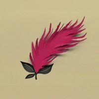 Amarante · Geneva · Botanical Garden logo - Similar company to Parti Pris Concept Store