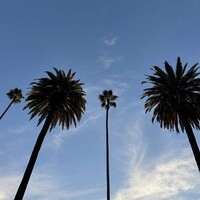 Haana logo - Similar company to Sanil Electric Co. Ltd.