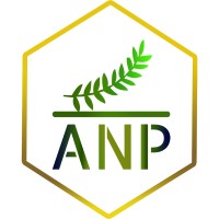 Apiaceae Natural Products logo - Similar company to Beary