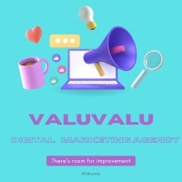 Valuvalu logo - Similar company to Azint Technologies Inc