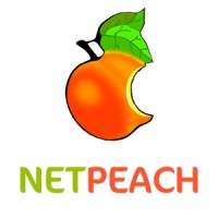 Netpeach Technologies Inc. logo - Similar company to Techmash Software Solutions