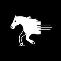 Bronco Digital Solutions logo - Similar company to Nitco