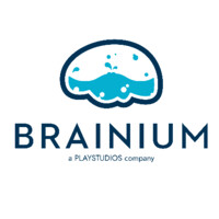 Brainium logo - Similar company to Brainium Technologies
