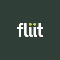 fliit logo - Similar company to Mob-Ion