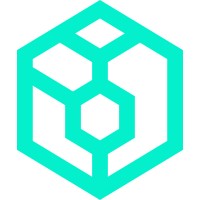 Mint®  - Leading Salesforce Consulting Partner logo - Similar company to Solution Junkies