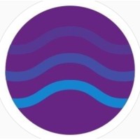 Neptune Solution logo - Similar company to Neptune Solution