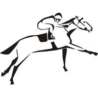 Golden Exports logo - Similar company to Apex Leather