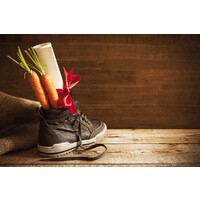 De speelgoedbank West-Vlaanderen logo - Similar company to Rikafi