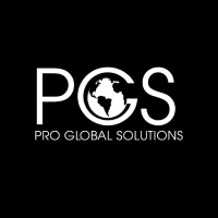 Pro Global Solutions logo - Similar company to Dk Solutions
