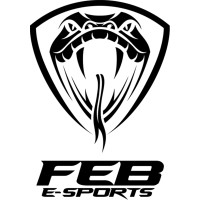 FEB E-SPORTS logo - Similar company to Artificial Universe