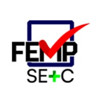 FEMP Safety Engineering Construction logo - Similar company to Creative One Racing