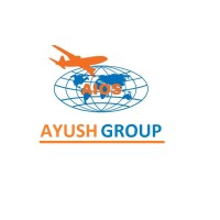 Ayush International Overseas logo - Similar company to Pentapro Llc