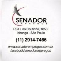 André - Senador Empregos logo - Similar company to Ninos Flores