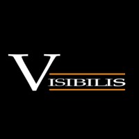 Visibilis.HR logo - Similar company to The House Of Coaching