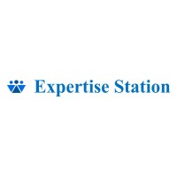 Expertise Station logo - Similar company to Sft Solution