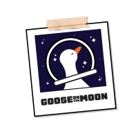 Goose On The Moon Photography And Videography