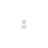 Scarlette CODE logo - Similar company to Webvator