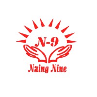 Myo Naing-Nine Group of Companies logo - Similar company to Solutify