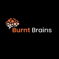 Burnt Brains logo - Similar company to Techzilla Global Pvt Ltd