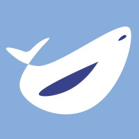 Echo Solutions logo - Similar company to Triton Space Technologies, Llc