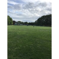 International Center for Bamboo and Rattan logo - Similar company to Mccampbell Analytical, Inc.