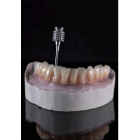 DENTALAB3000 logo - Similar company to 3D Dental Digital District