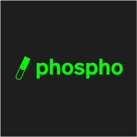 phospho (YC W24) logo - Similar company to Dollyglot (Yc W25)