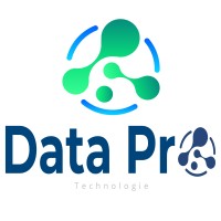 Data Pro Technologie logo - Similar company to Data Sys Suarl