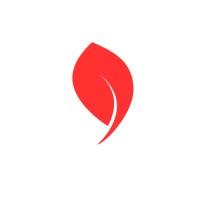 Vybely logo - Similar company to Vyblee