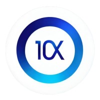 10x Digital Solutions logo - Similar company to 10Xbnb