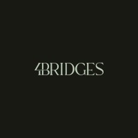 4Bridges logo - Similar company to 4Bridges Llc