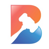 Bid Nexa logo - Similar company to Carguru.Bid