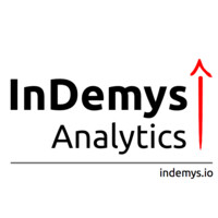 InDemys Analytics logo - Similar company to Fnp.Dev