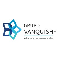 Grupo Vanquish de México logo - Similar company to Carmool