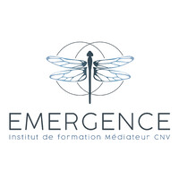 INSTITUT EMERGENCE logo - Similar company to Tantracoeur